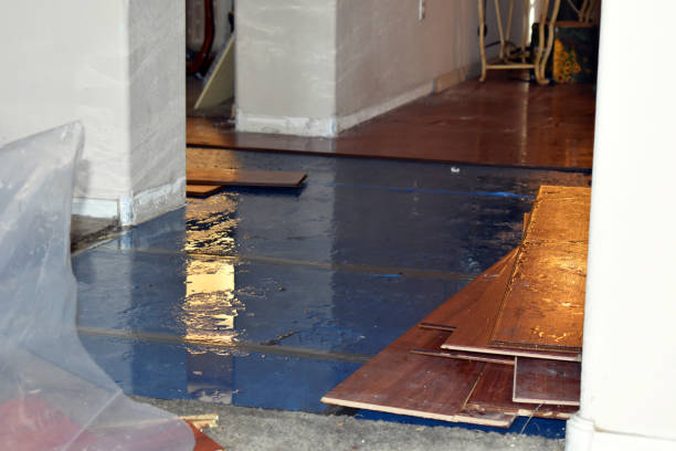 Professional Burst Pipe Cleanup technician working in Kelso, WA